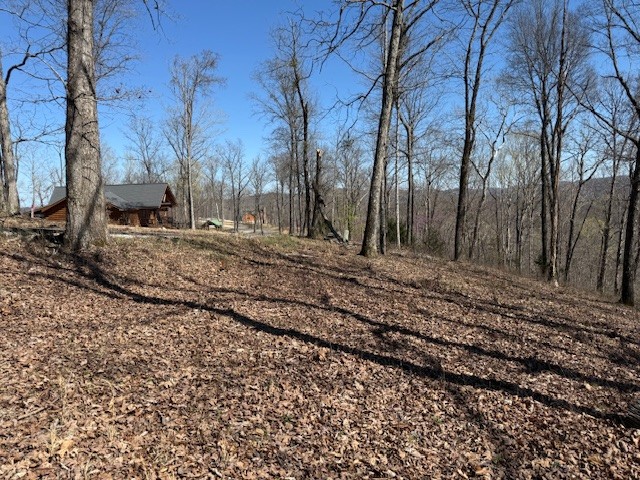 31c Rock Fish Road Hilham TN 38568
