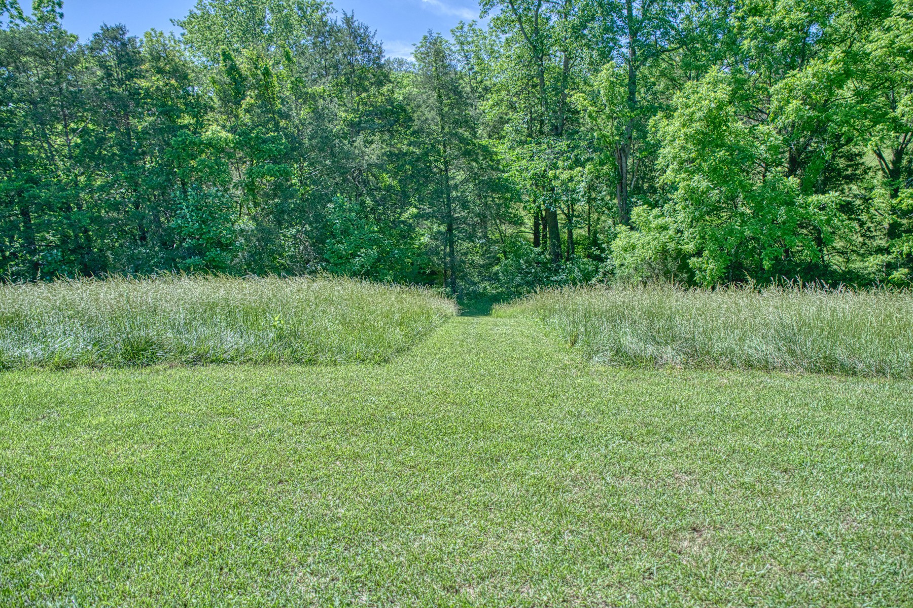 427 Frank Sims Road Sparta TN 38583
