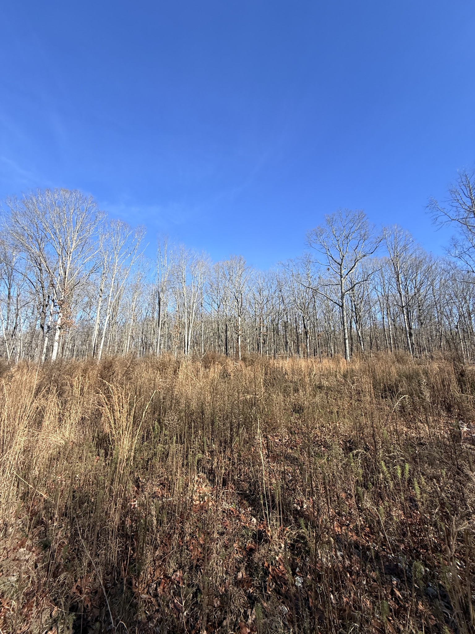 0 Deer Wood Drive Sewanee TN 37375