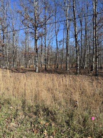 0 Deer Wood Drive Sewanee TN 37375