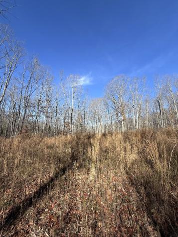 0 Deer Wood Drive Sewanee TN 37375