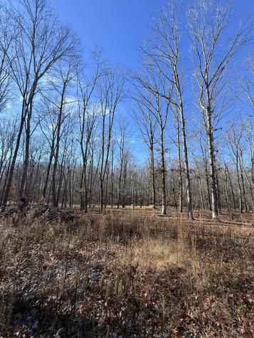 0 Deer Wood Drive Sewanee TN 37375