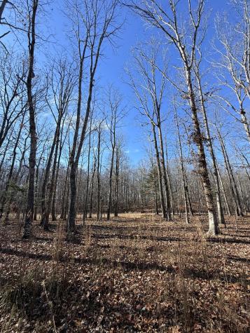 0 Deer Wood Drive Sewanee TN 37375