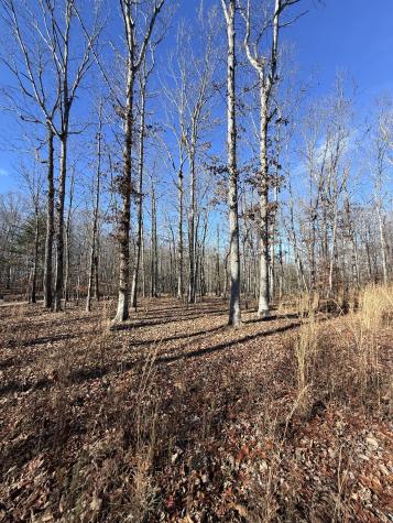 0 Deer Wood Drive Sewanee TN 37375