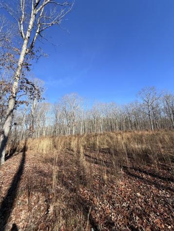 0 Deer Wood Drive Sewanee TN 37375