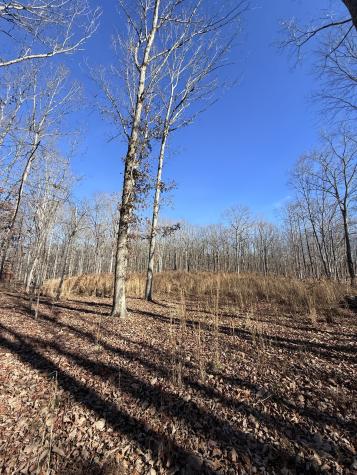 0 Deer Wood Drive Sewanee TN 37375