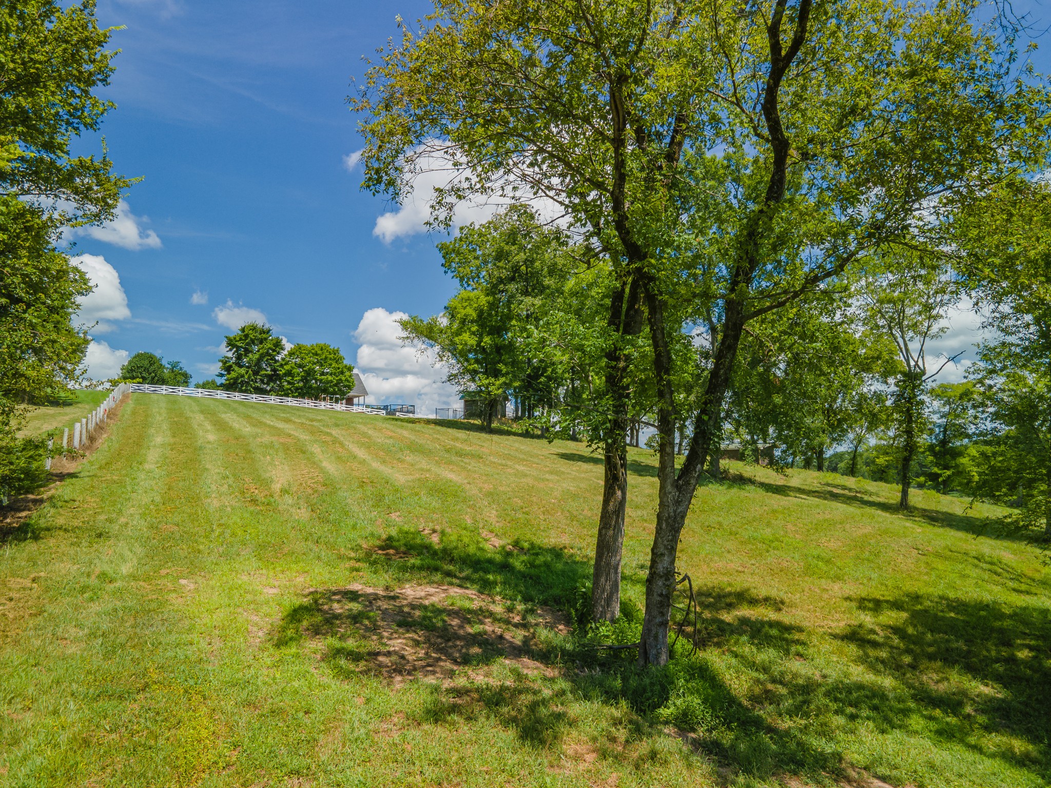 1821 Gina Lynn Drive Lewisburg TN 37091