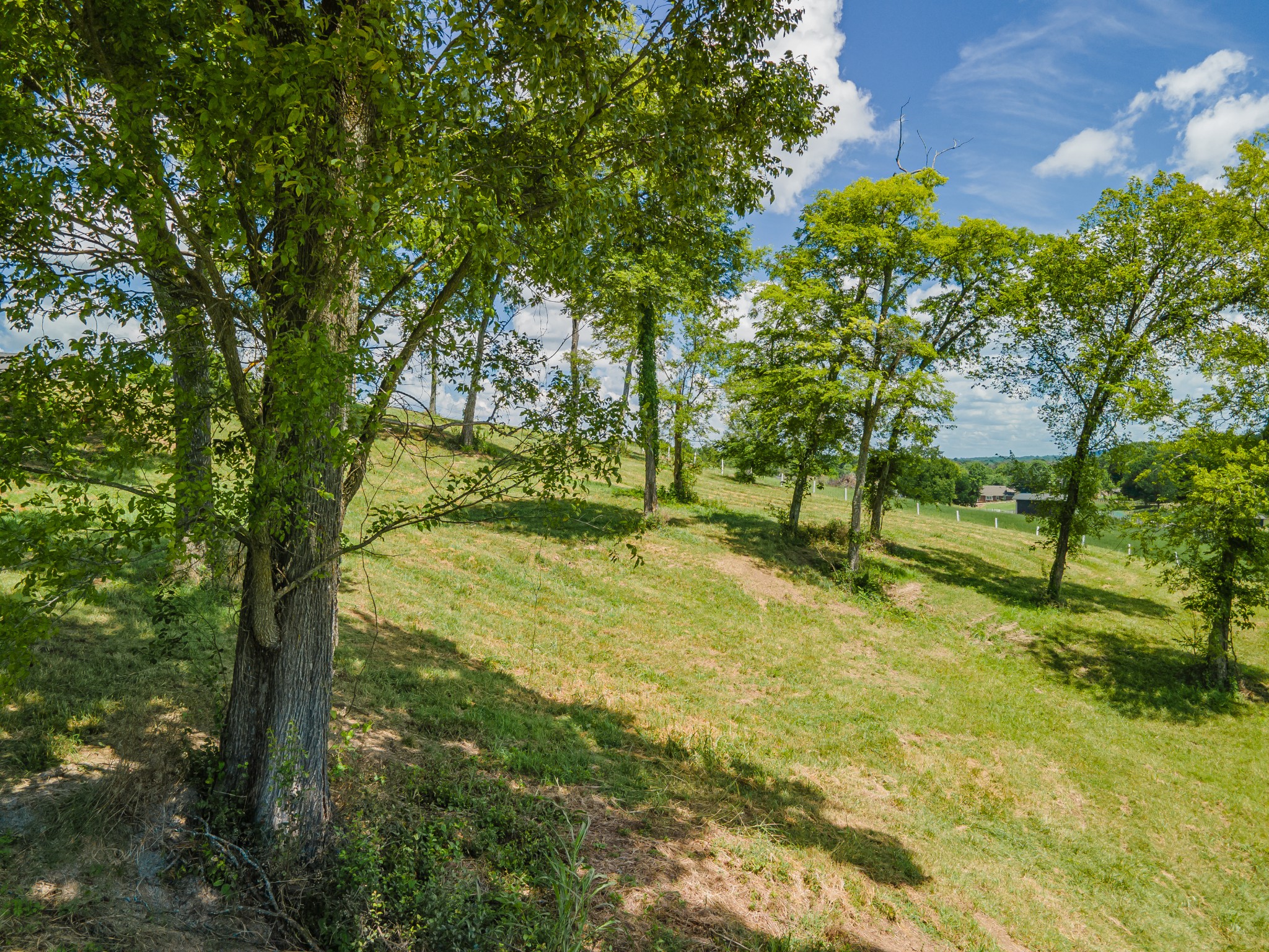 1821 Gina Lynn Drive Lewisburg TN 37091