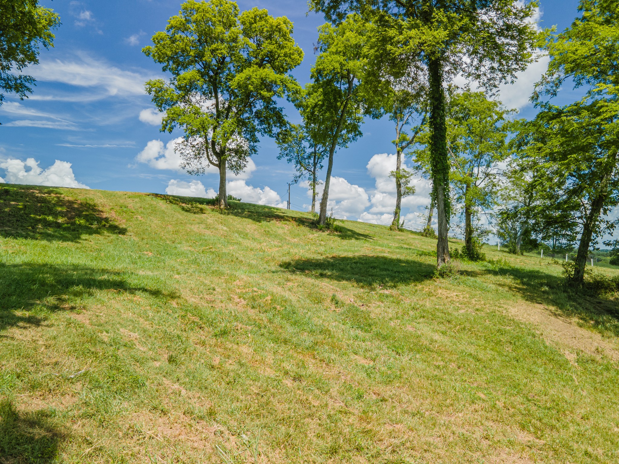 1821 Gina Lynn Drive Lewisburg TN 37091