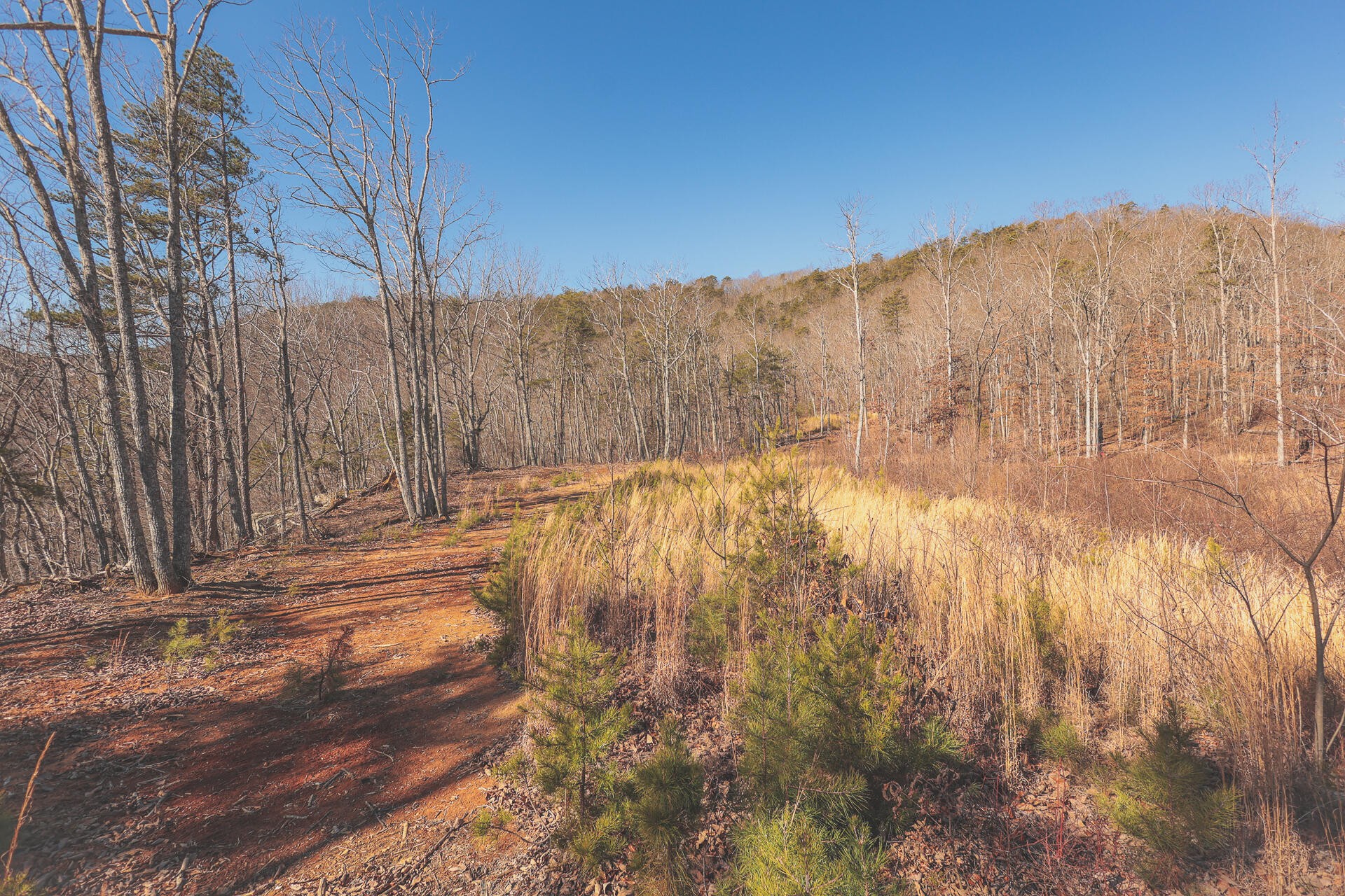 3229 Old State Highway 28 Dunlap TN 37327