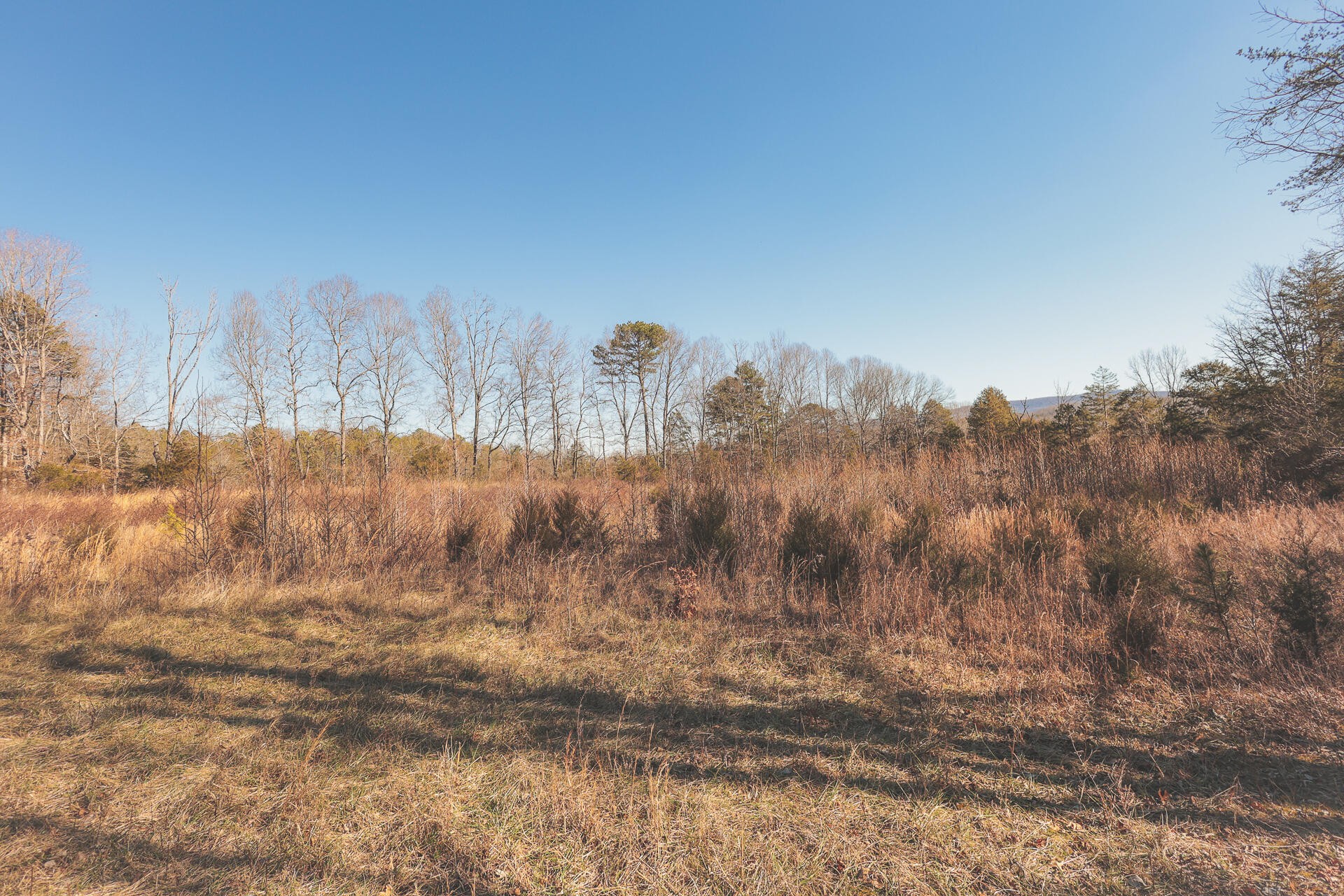 3229 Old State Highway 28 Dunlap TN 37327