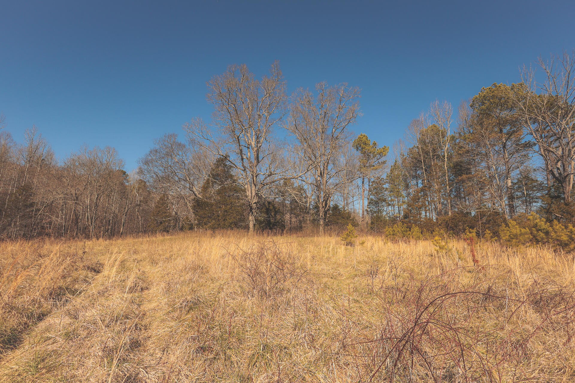 3229 Old State Highway 28 Dunlap TN 37327