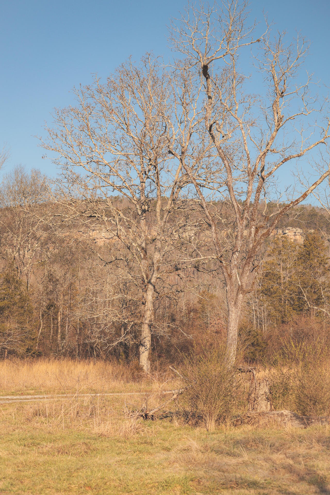 3229 Old State Highway 28 Dunlap TN 37327
