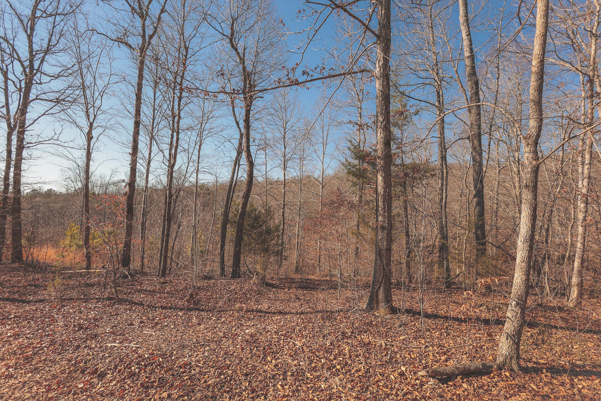 3229 Old State Highway 28 Dunlap TN 37327