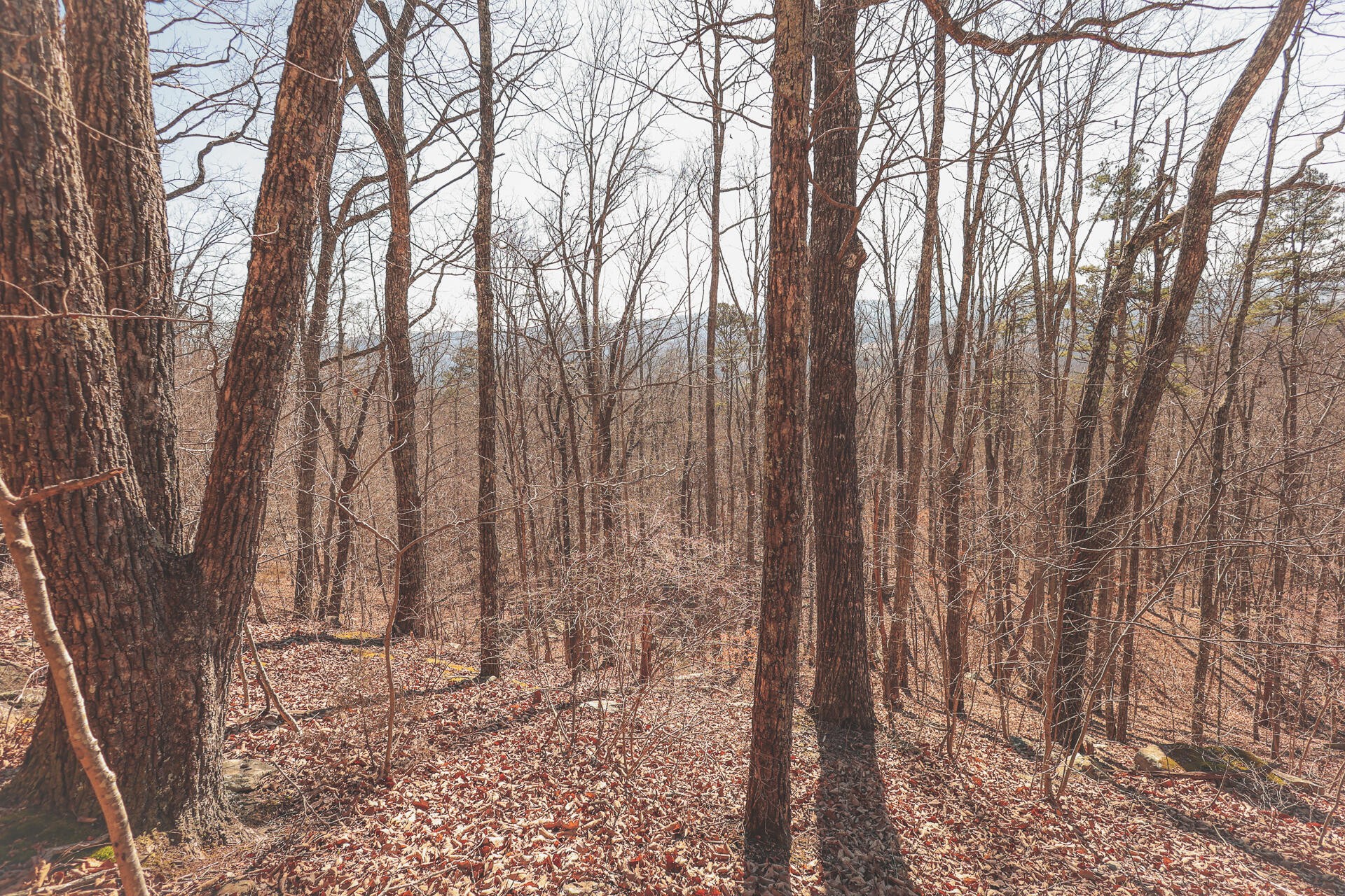 3229 Old State Highway 28 Dunlap TN 37327