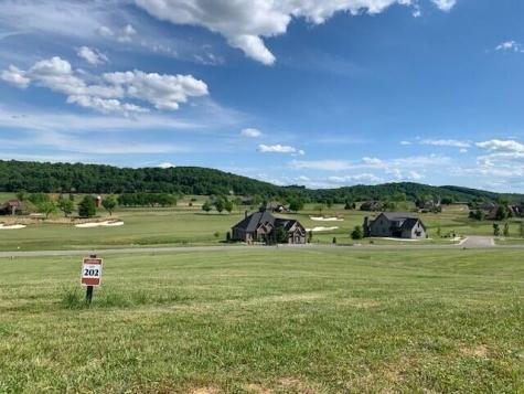 494 Hawks Bend Loudon TN 37774