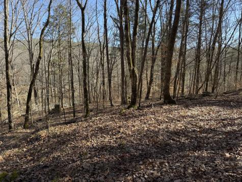 0 Davis Hollow Road Waynesboro TN 38485