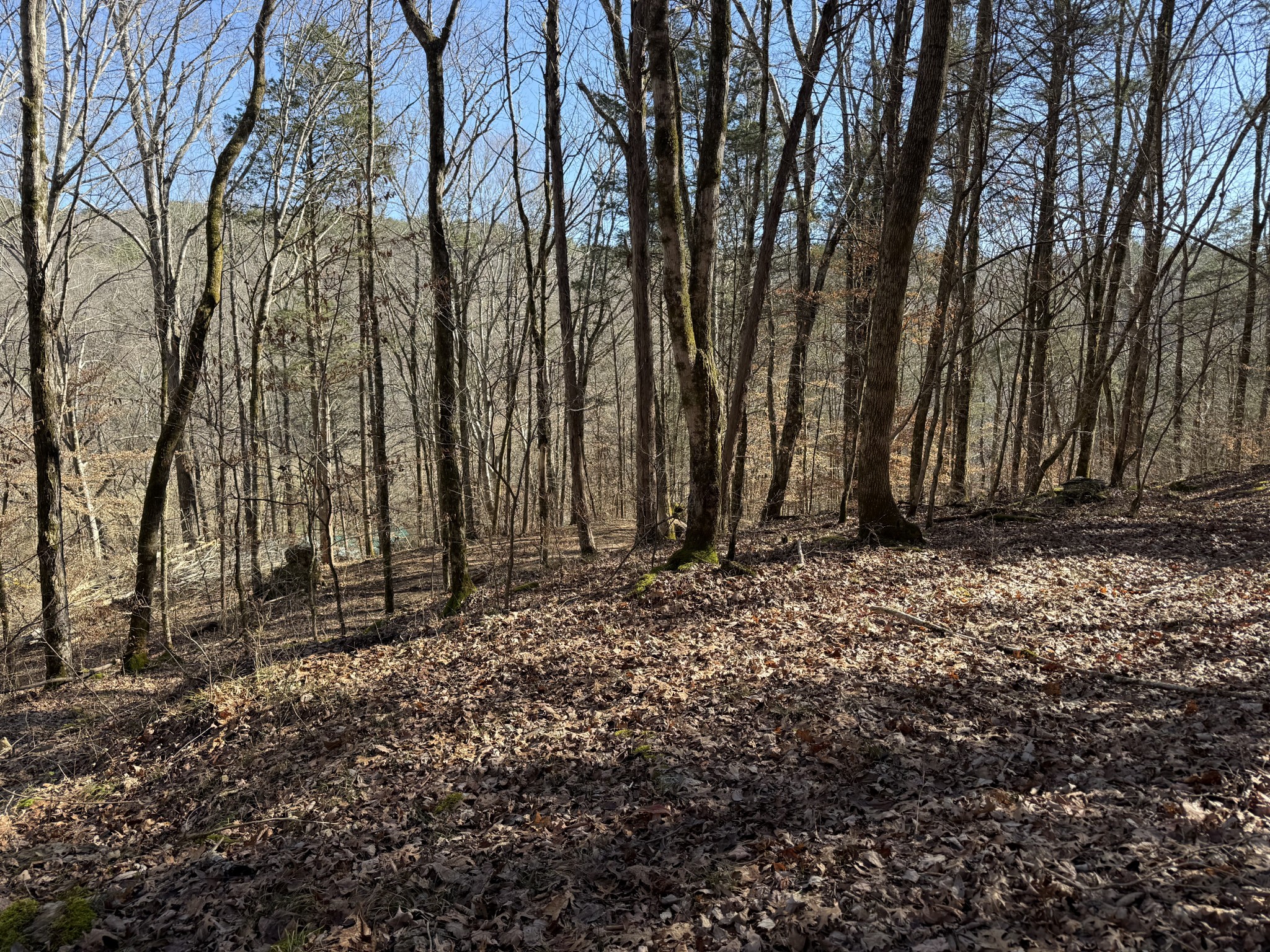 0 Davis Hollow Road Waynesboro TN 38485