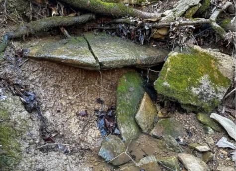 0 Davis Hollow Road Waynesboro TN 38485