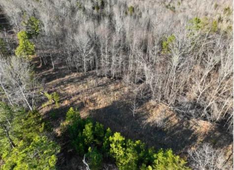0 Davis Hollow Road Waynesboro TN 38485