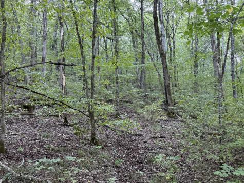 0 Davis Hollow Road Waynesboro TN 38485