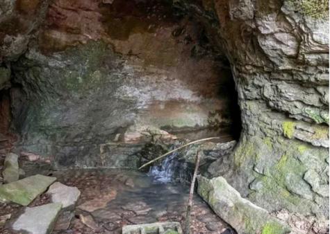0 Davis Hollow Road Waynesboro TN 38485