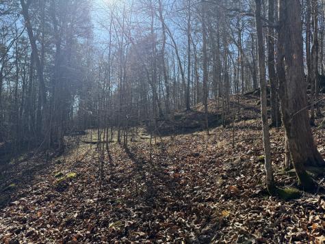 0 Davis Hollow Road Waynesboro TN 38485