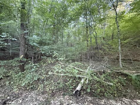 0 Davis Hollow Road Waynesboro TN 38485
