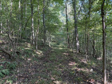 0 Davis Hollow Road Waynesboro TN 38485