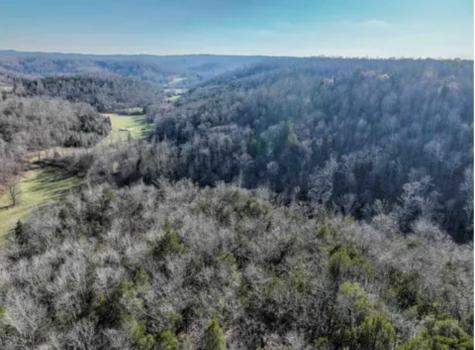 0 Davis Hollow Road Waynesboro TN 38485
