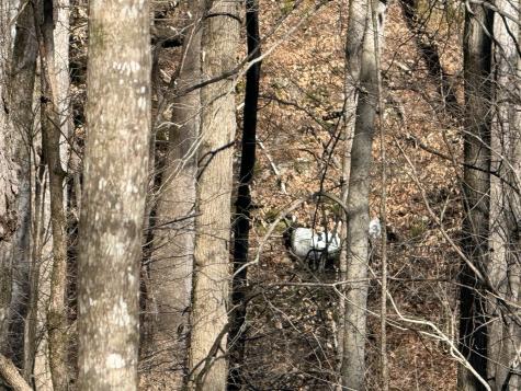 0 Davis Hollow Road Waynesboro TN 38485