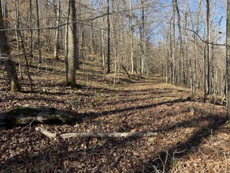 0 Davis Hollow Road Waynesboro TN 38485