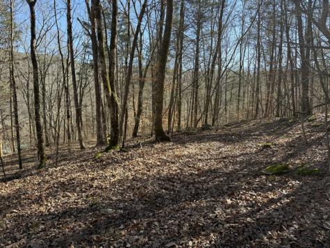 0 Davis Hollow Road Waynesboro TN 38485