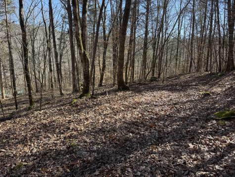 0 Davis Hollow Road Waynesboro TN 38485