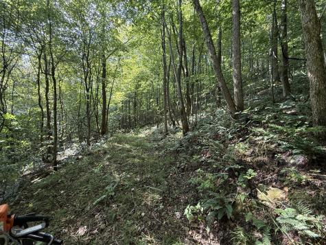0 Davis Hollow Road Waynesboro TN 38485