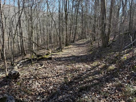 0 Davis Hollow Road Waynesboro TN 38485