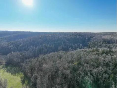 0 Davis Hollow Road Waynesboro TN 38485