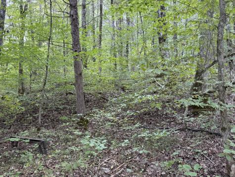 0 Davis Hollow Road Waynesboro TN 38485