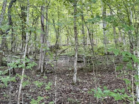 0 Davis Hollow Road Waynesboro TN 38485