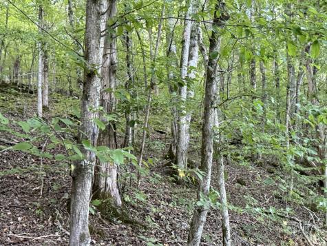 0 Davis Hollow Road Waynesboro TN 38485