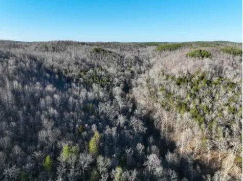 0 Davis Hollow Road Waynesboro TN 38485