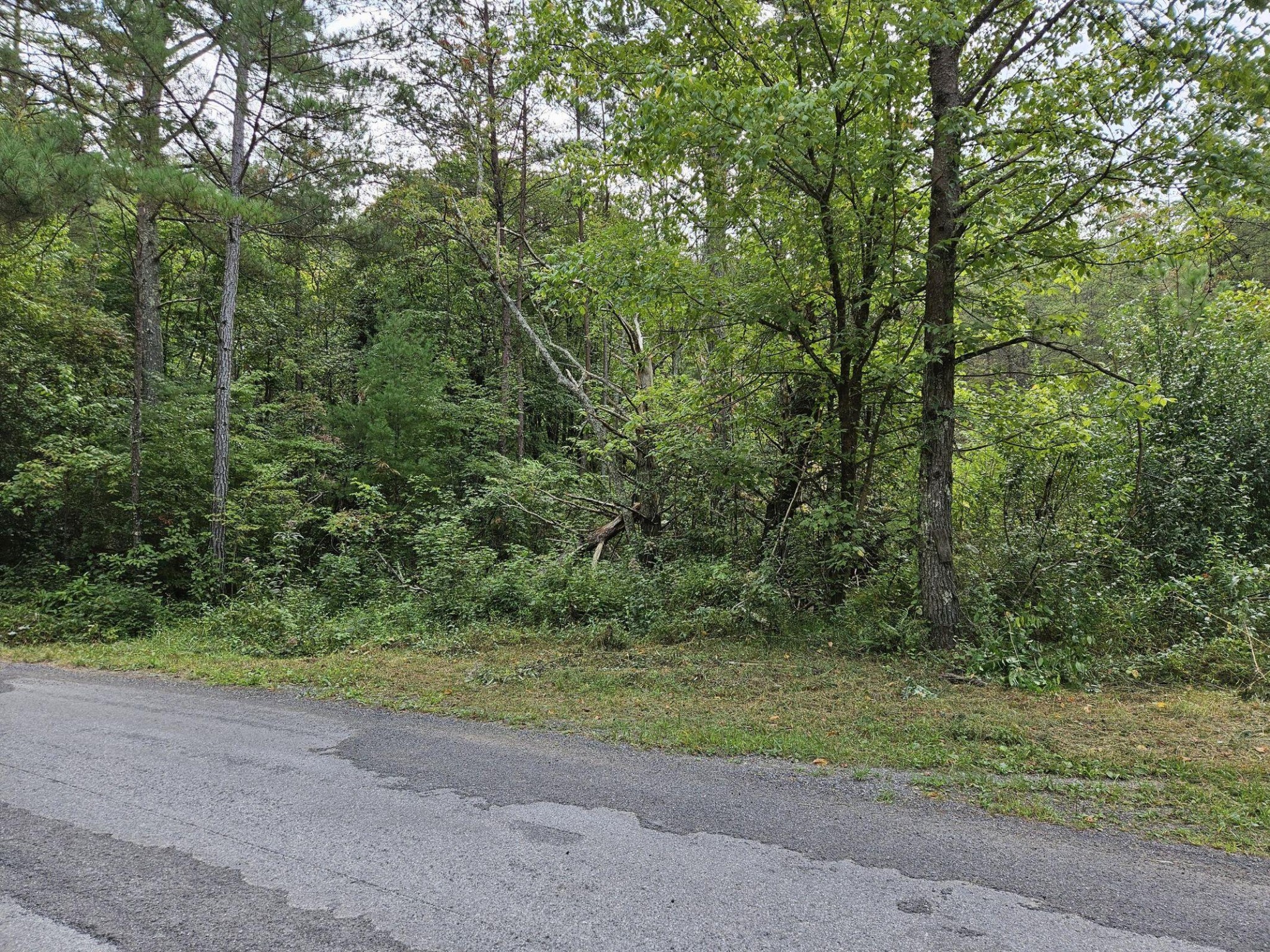32 Belaire Drive Copperhill TN 37317