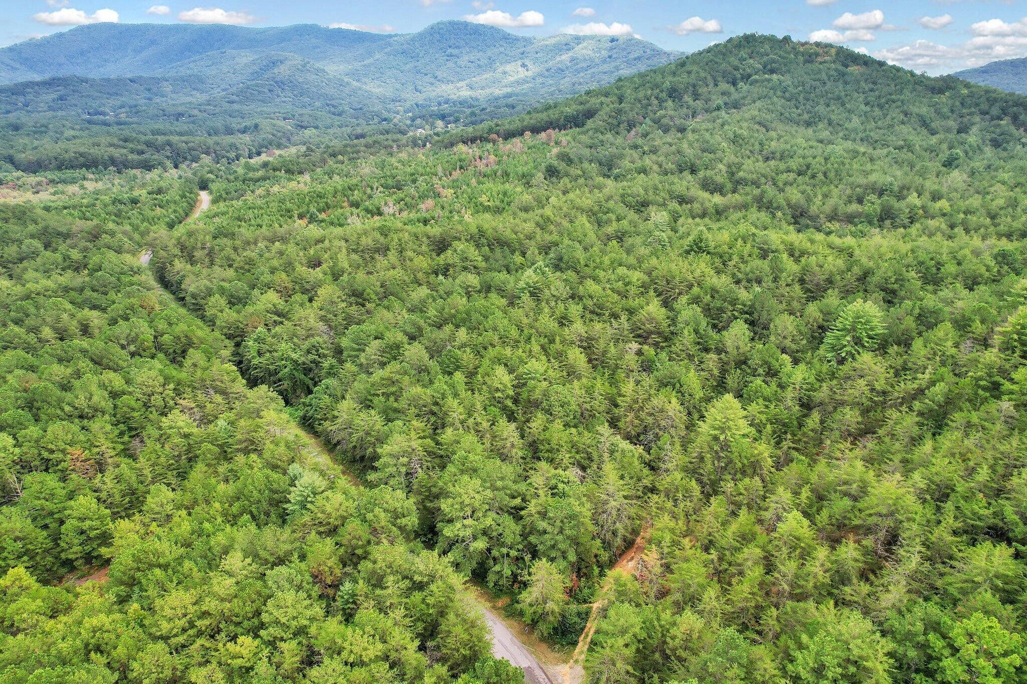 32 Belaire Drive Copperhill TN 37317