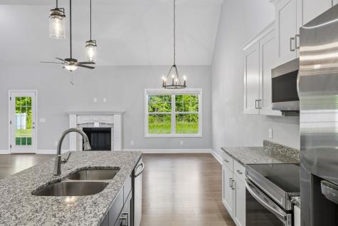 173 Jesse Drive Pleasant View TN 37146
