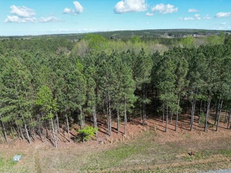 3261 Crockett Pointe Jasper TN 37347