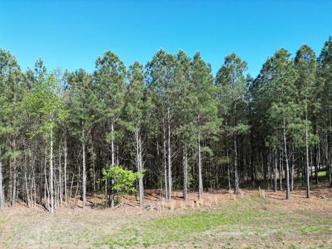 3261 Crockett Pointe Jasper TN 37347