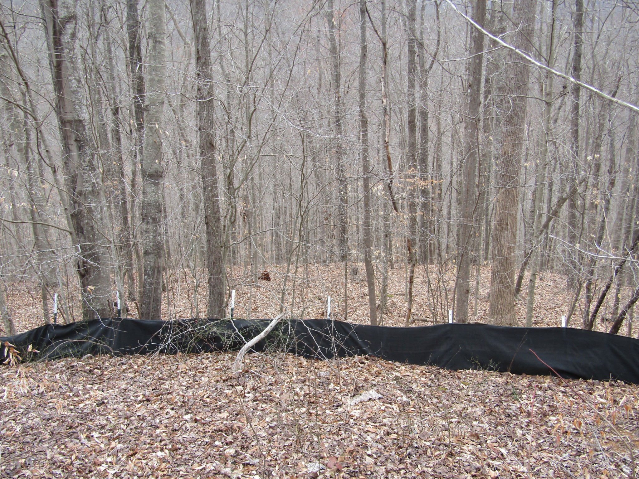 0 Bobcat Lane Wilder TN 38589