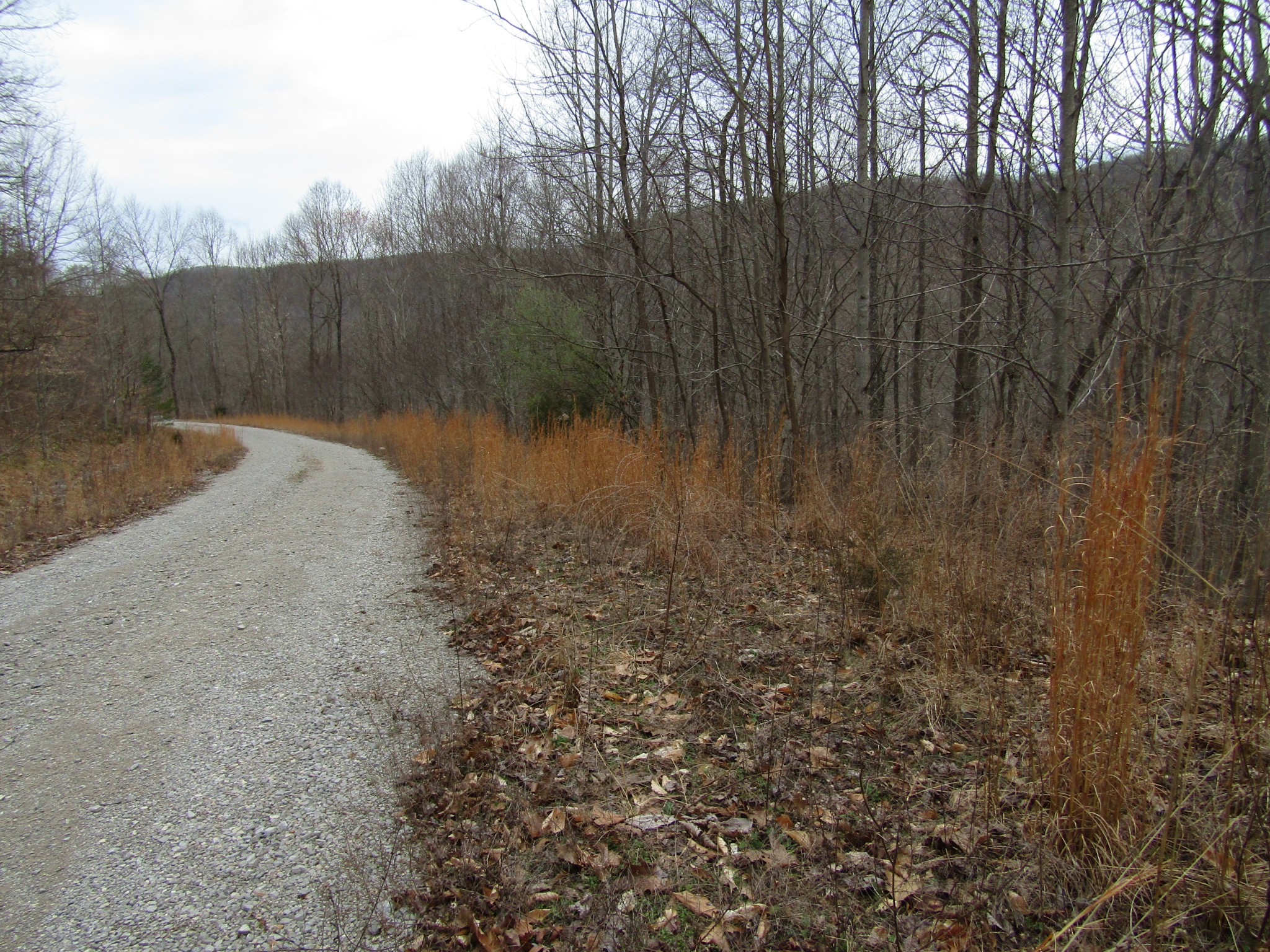 0 Bobcat Lane Wilder TN 38589