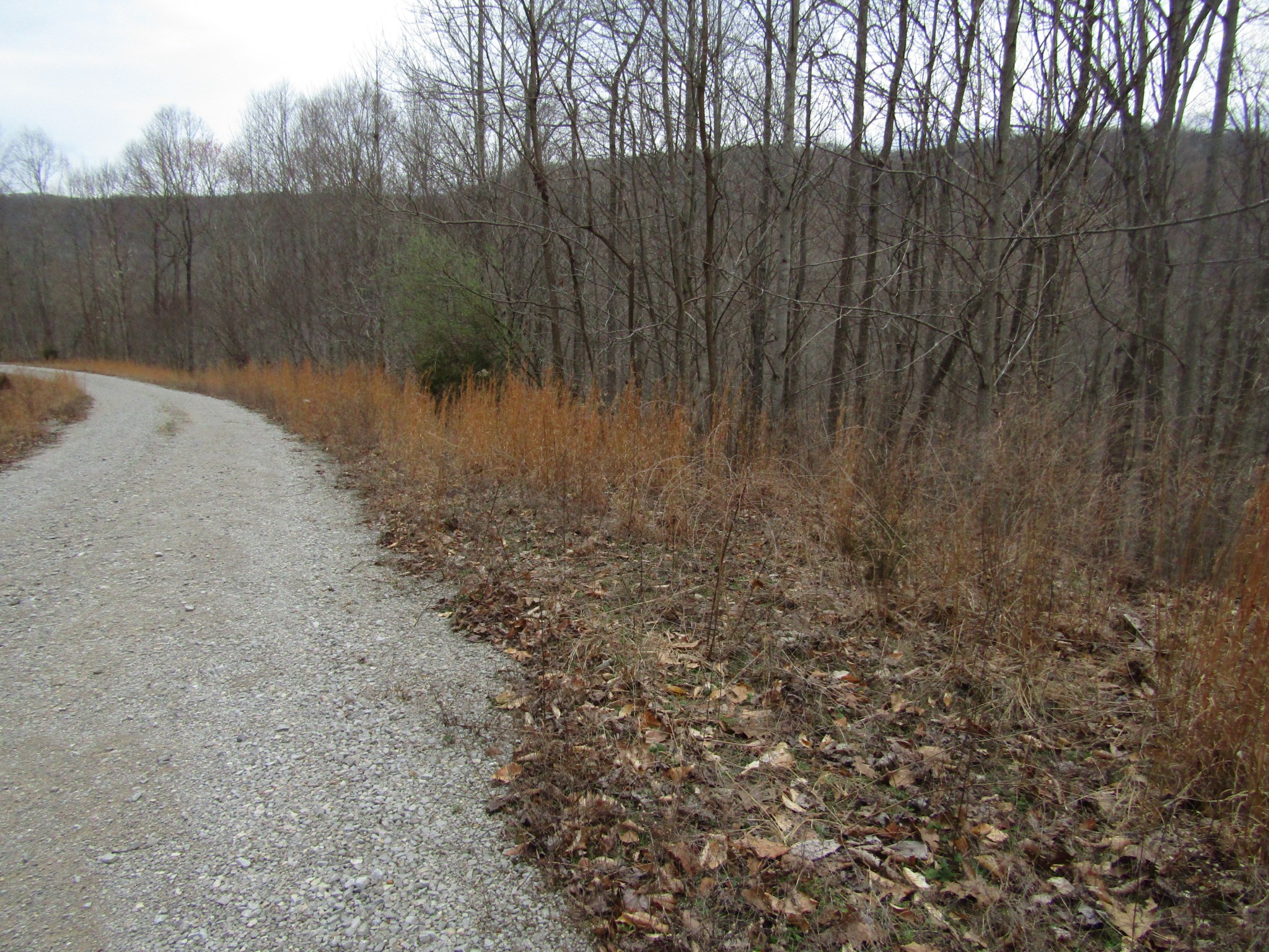 0 Bobcat Lane Wilder TN 38589