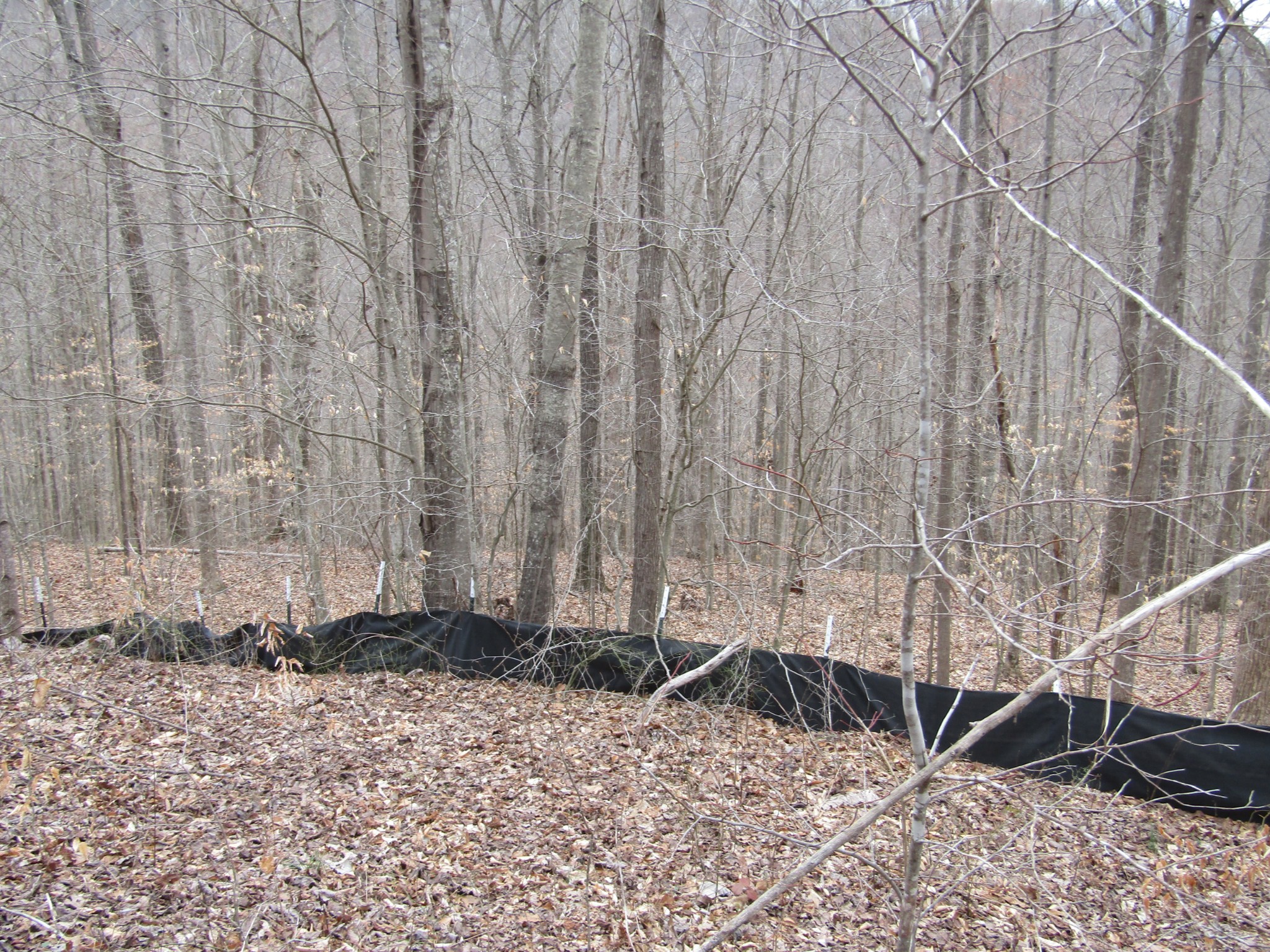 0 Bobcat Lane Wilder TN 38589